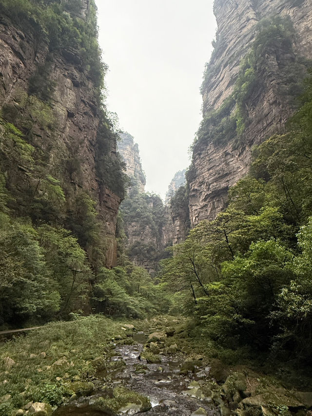 Zhangjiajie - A Dreamlike Mountain Escape 