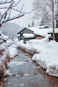 日本小眾旅行｜封神！秋田雪國日漫藍全攻略|||