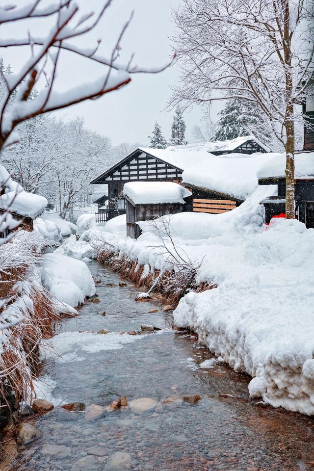 日本小眾旅行｜封神！秋田雪國日漫藍全攻略|||