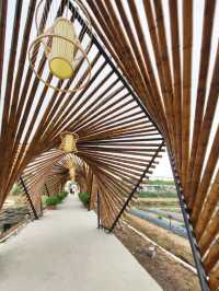 Nansha Pearl Agricultural park in guangzhou view of Sydney bridge 🇨🇳