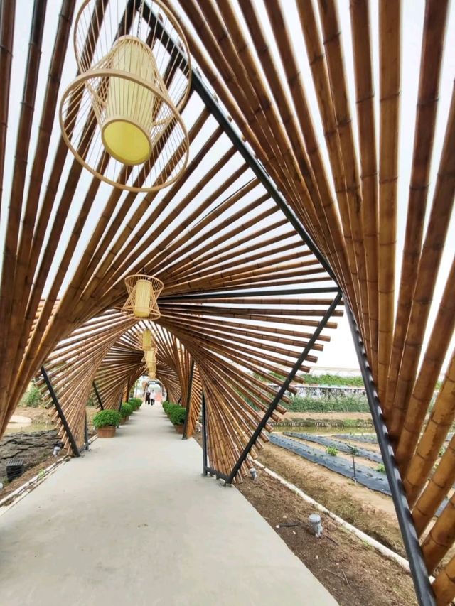 Nansha Pearl Agricultural park in guangzhou view of Sydney bridge 🇨🇳