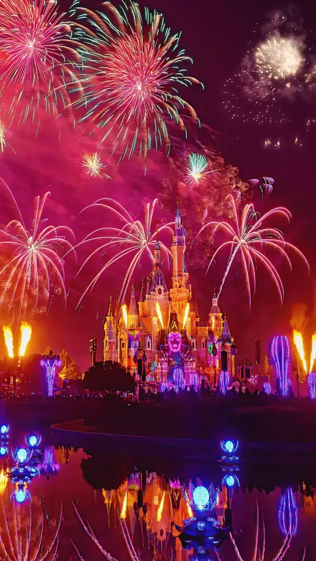 Disney's Runaway Princess Castle