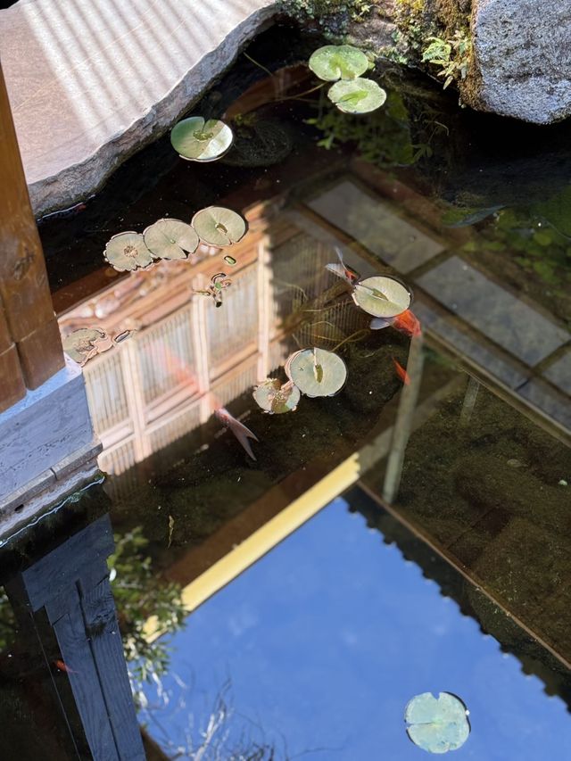 束河古鎮深處，藏著一座會呼吸嘅院子