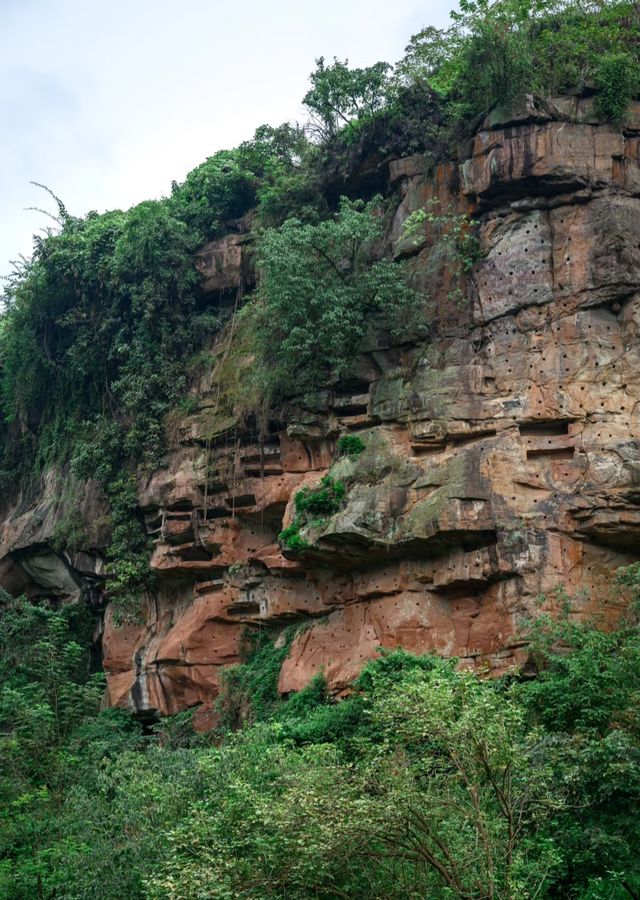 宜賓小鎮（絲文·九絲）