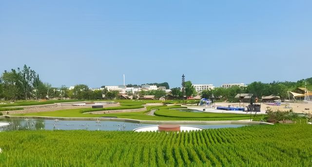 週末去邊度玩 | 秦皇島漁田七里海，全家都開心！