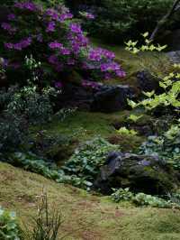 江南梅雨季限定：被青苔溫柔包裹的48小時