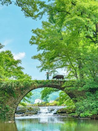 Wuyuan in "National Geographic" is simply a paradise on earth!