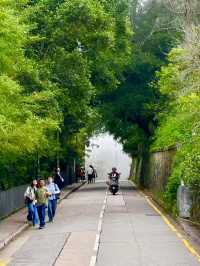 Free City Walk in Hong Kong From Central to Victoria Peak!