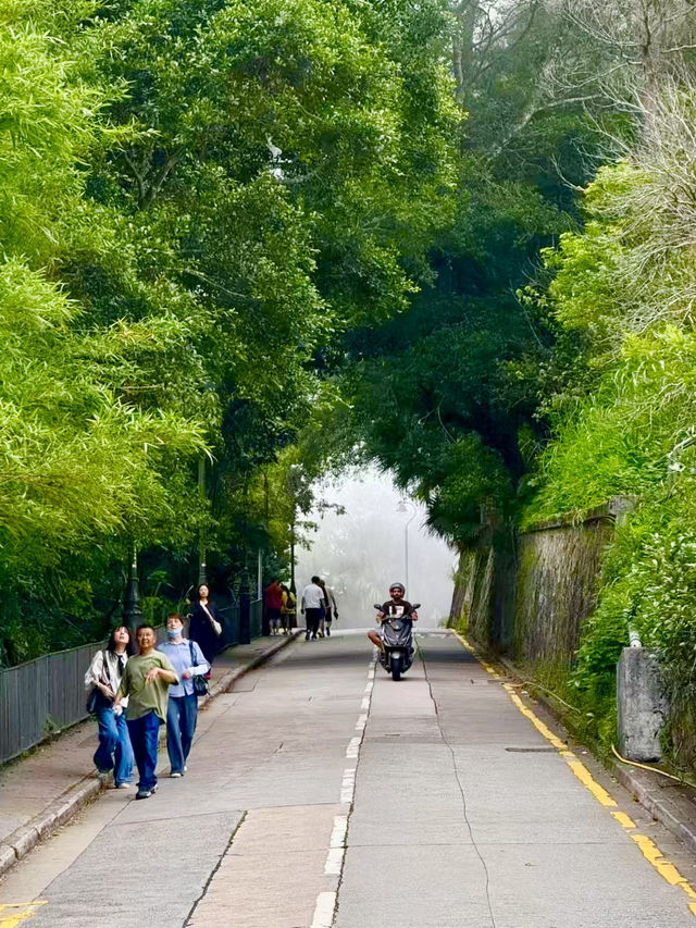 Free City Walk in Hong Kong From Central to Victoria Peak!