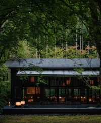 日本安縵系列丨3種日式隱世美學天花板