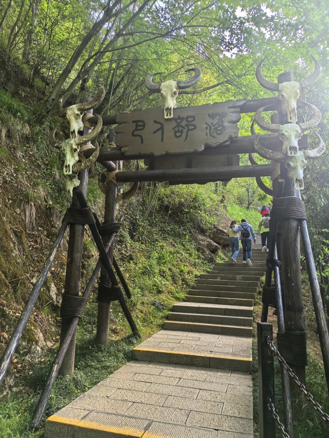 西安周邊遊｜湖北神農架