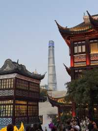 🌿 Where Ancient Elegance Meets City Buzz: Yuyuan Garden Experience