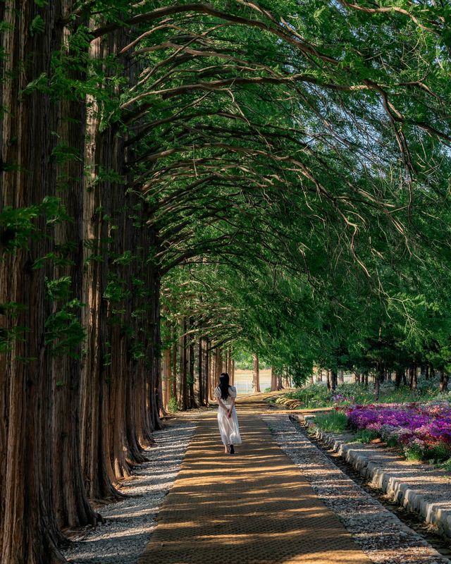 益山秘境｜黃登庭院的花季治癒時刻