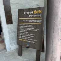 수원에서 만나볼 수 있는 중국식 공원에서 힐링해보세요🍃