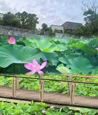 上海周邊！住進園林別墅邂逅太湖浪漫