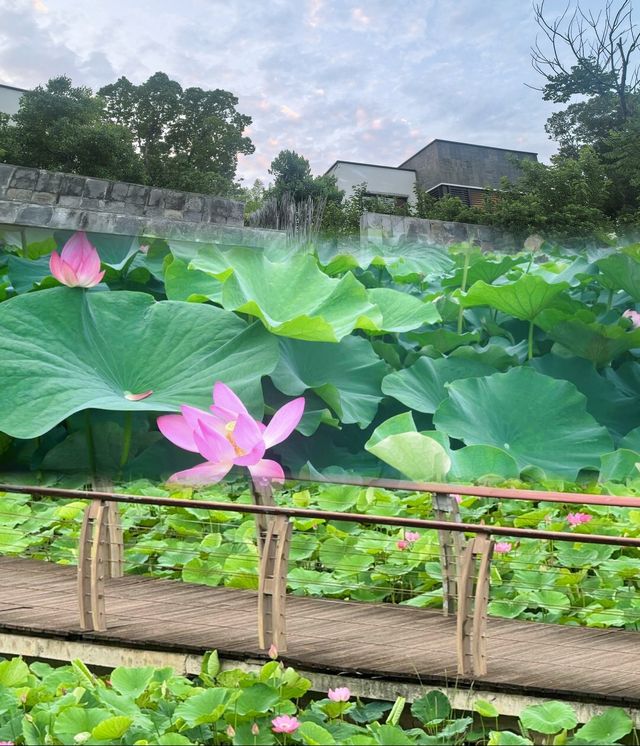 上海周邊！住進園林別墅邂逅太湖浪漫
