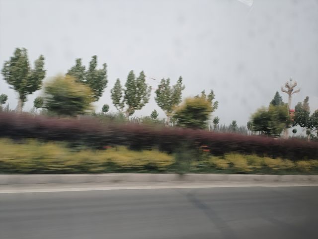 其他嘢我唔敢講，但講到四川若爾蓋，冇人比我更熟架啦