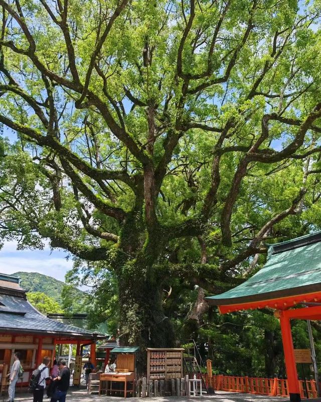山海靈境和歌山2日遊攻略