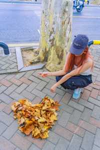 陰天逛九江梧桐大道？暗調照片自帶復古濾鏡，美到犯規