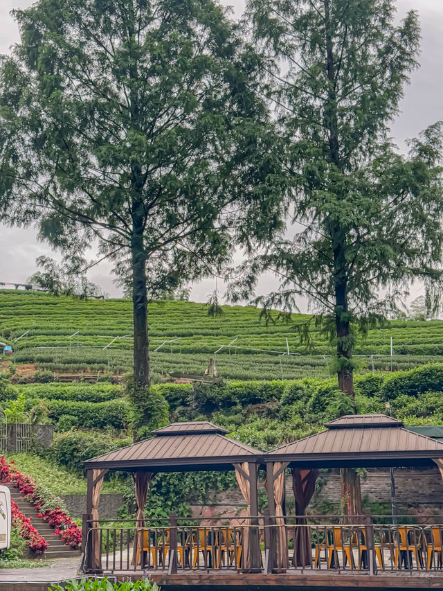 部門團建喺度玩到癲晒！獨棟茶山別墅太舒服啦！