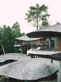 Banyan Tree Mandai Rainforest Resort ♥️