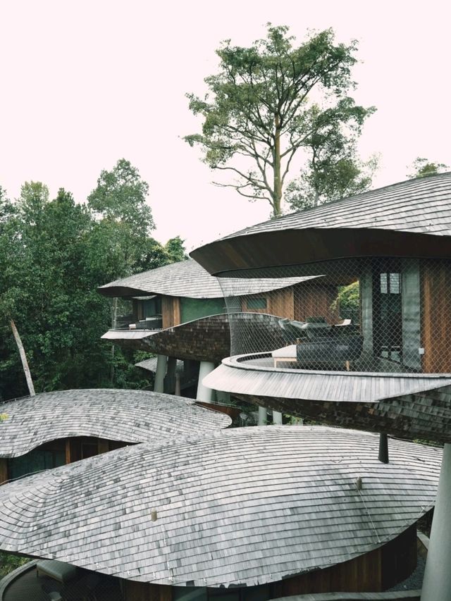 Banyan Tree Mandai Rainforest Resort ♥️