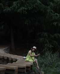 夏風、綠意、同免費嘅靚景係昆明嘅夏天
