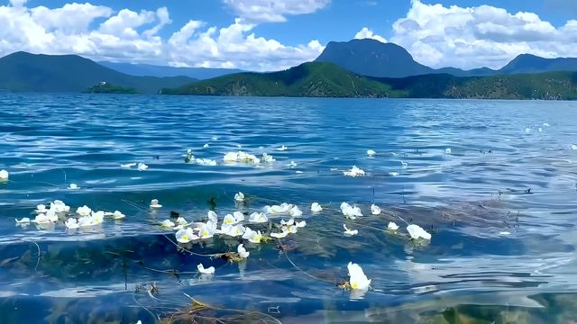 瀘沽湖2日1夜保姆級攻略｜邂逅夢幻「藍眼淚」，沉醉仙境之旅