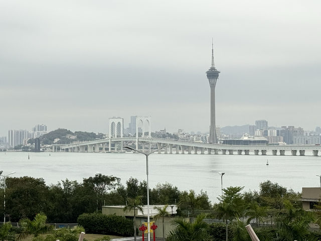 橫琴商都尋找鬱金香