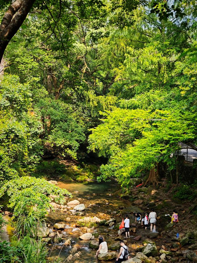 再遇天台山：國清寺祈願與星野避世之旅