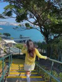 Signal Hill Garden 🇭🇰  Hong Kong is Stunning🤩