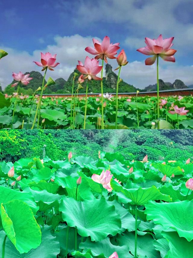 峰林曉鎮旅遊攻略