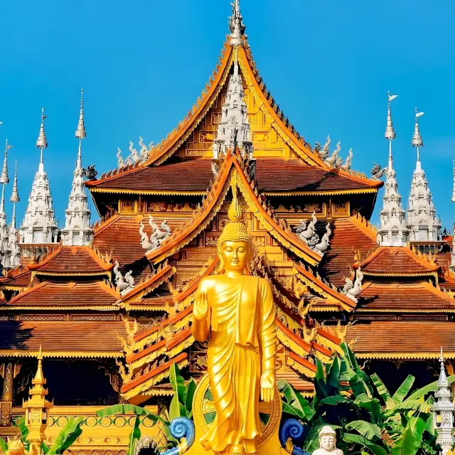 5 Days in Banna: Wild & Addictive! Chasing Elephants in the Rainforest & Dancing Dai Style at Night Markets – This Guide is Insanely Good!