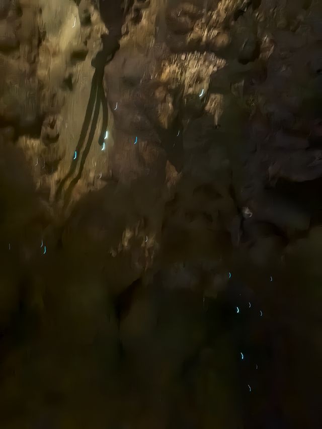 羅托魯阿：火山上的夢幻之城