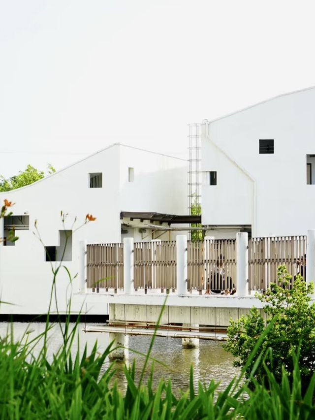 水光映天的生態詩——台江國家公園