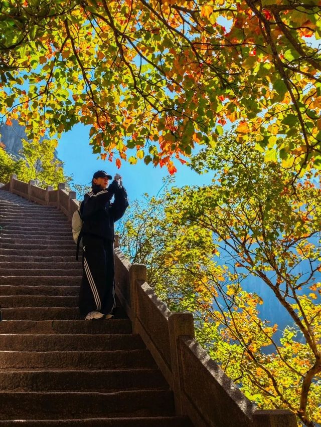 塔川秋色啟幕，黃山美景限時賞
