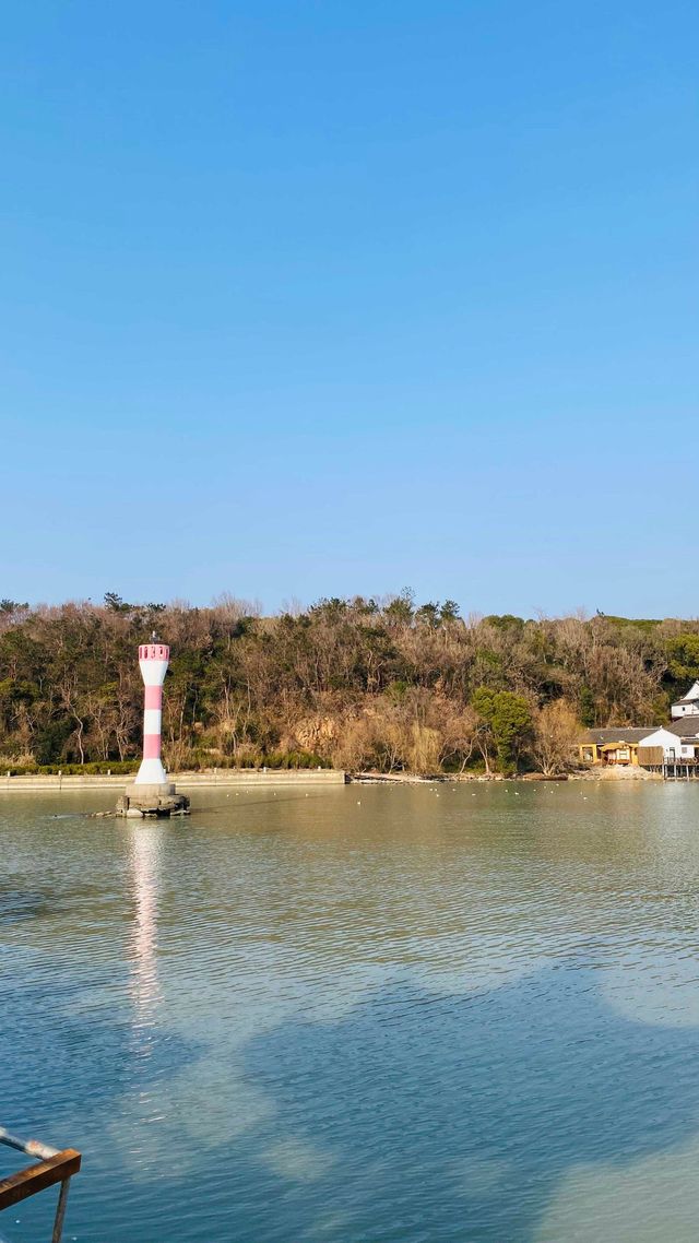 夕陽下與海鷗共舞