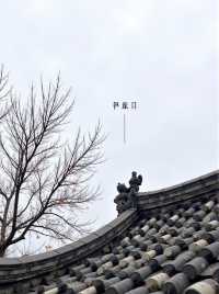 杭州周邊柿子秘境大公開秋日限定福利速來get！