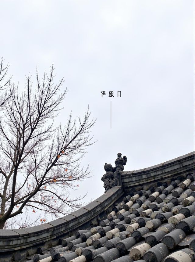 杭州周邊柿子秘境大公開秋日限定福利速來get！
