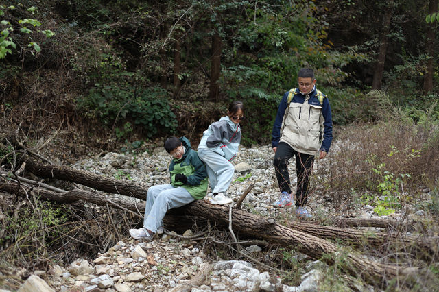 石家莊可以摘蘋果，免費賞紅葉的野山