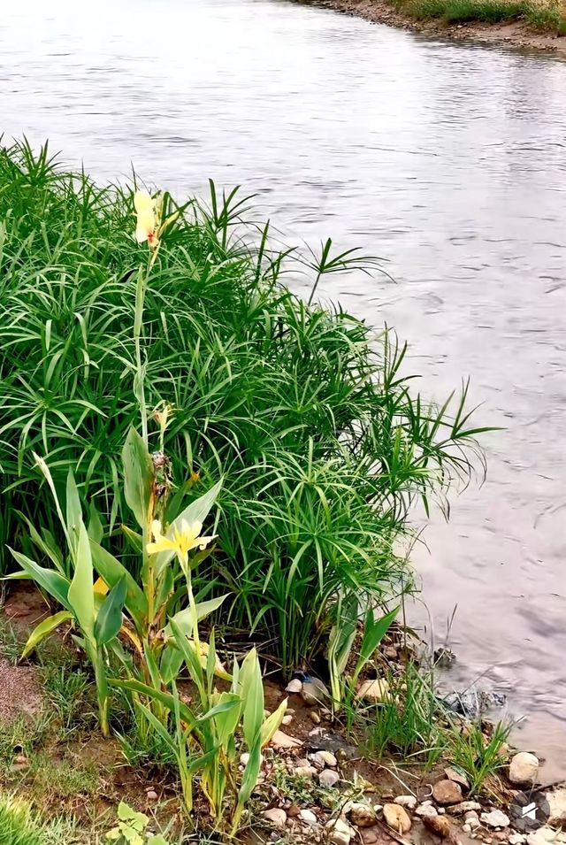 秋日濕地童話旅拍指南