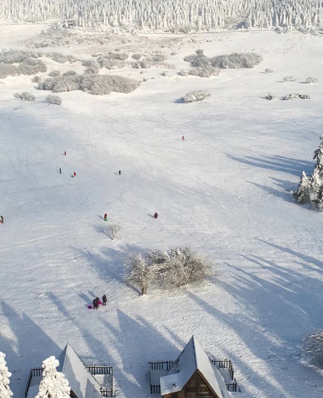 重慶下雪了！衝！仙女山2日遊保姆級攻略！