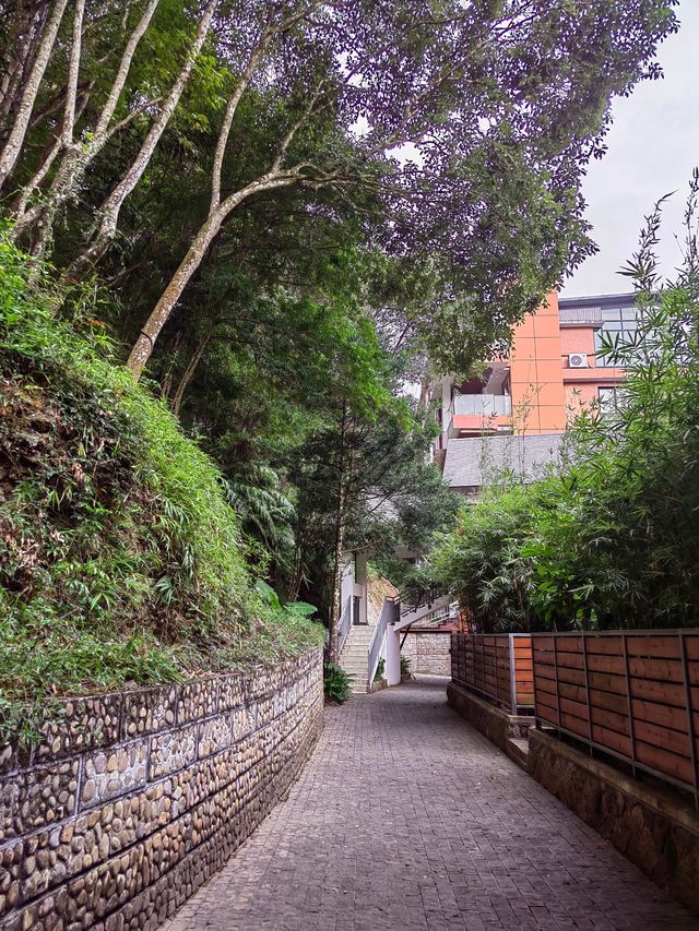 福州周邊遊新寵——雲湖溪谷