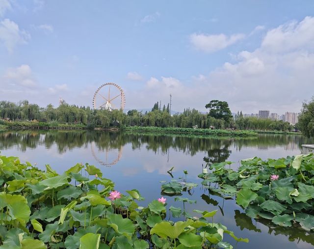 昆明必逛的名樓勝景——大觀樓