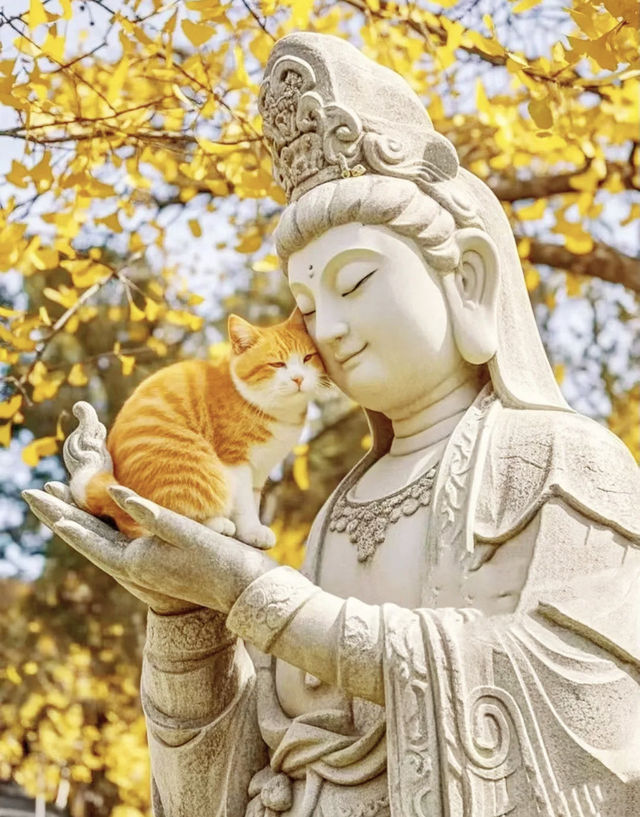 秋天，就帶孩子去感受自然的力量吧