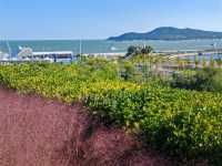 在粉紅疊翠中遠眺劉公島