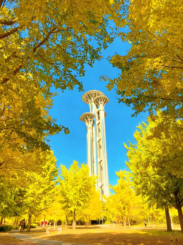 奧森賞秋攻略粉黛子·銀杏·花海·紅葉… 奧森賞秋攻略粉黛子·銀杏·花海·紅葉…