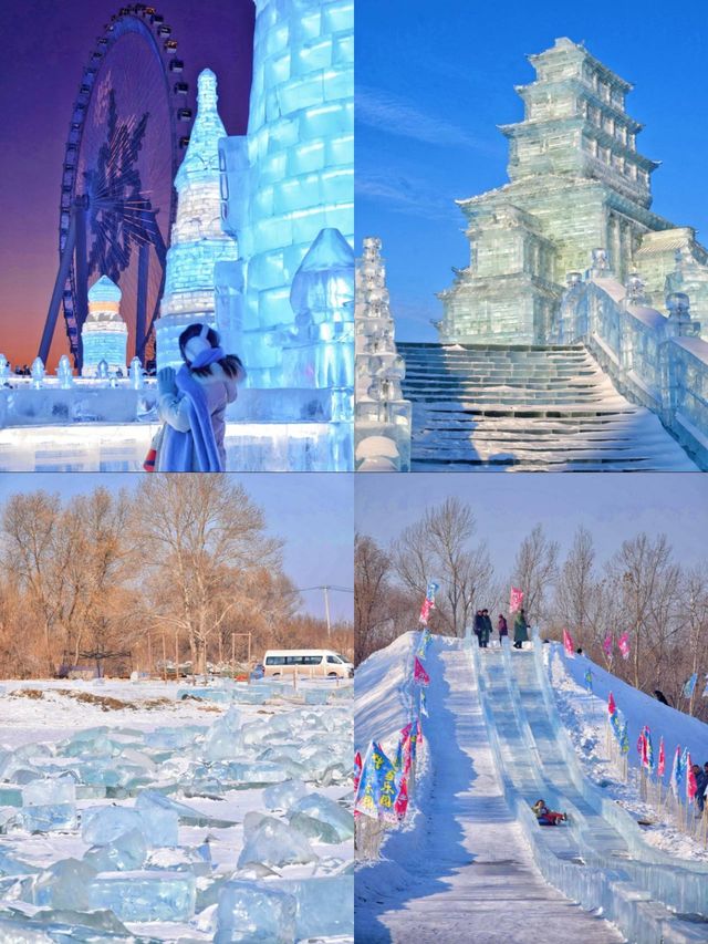 南方小土豆必看爾濱冰雪王國3日遊攻略 南方小土豆必看爾濱冰雪王國3日遊攻略