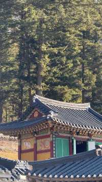 보광사藏在山裡的寺廟