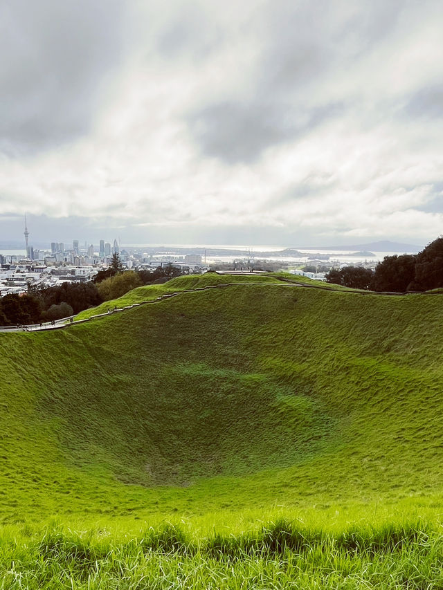 Meadow Magic Auckland🌱🌋 Mount Eden Lookout: Auckland's Ultimate 360° View!